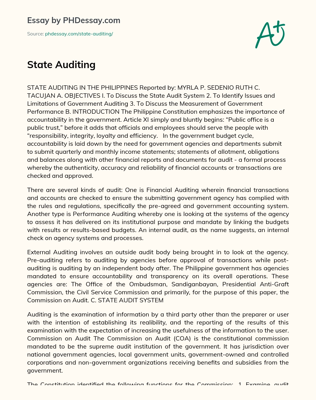 State Auditing essay