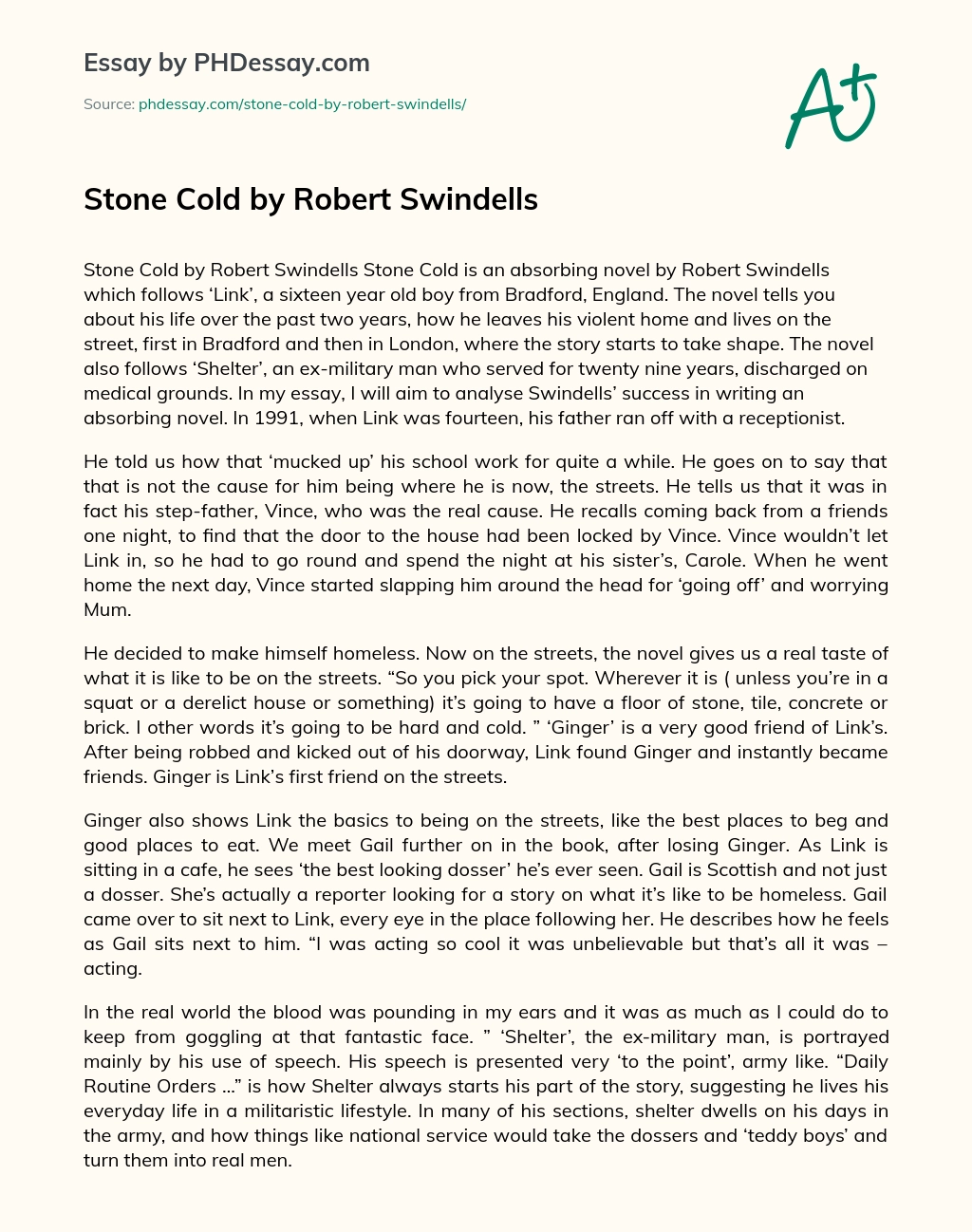 Stone Cold by Robert Swindells essay