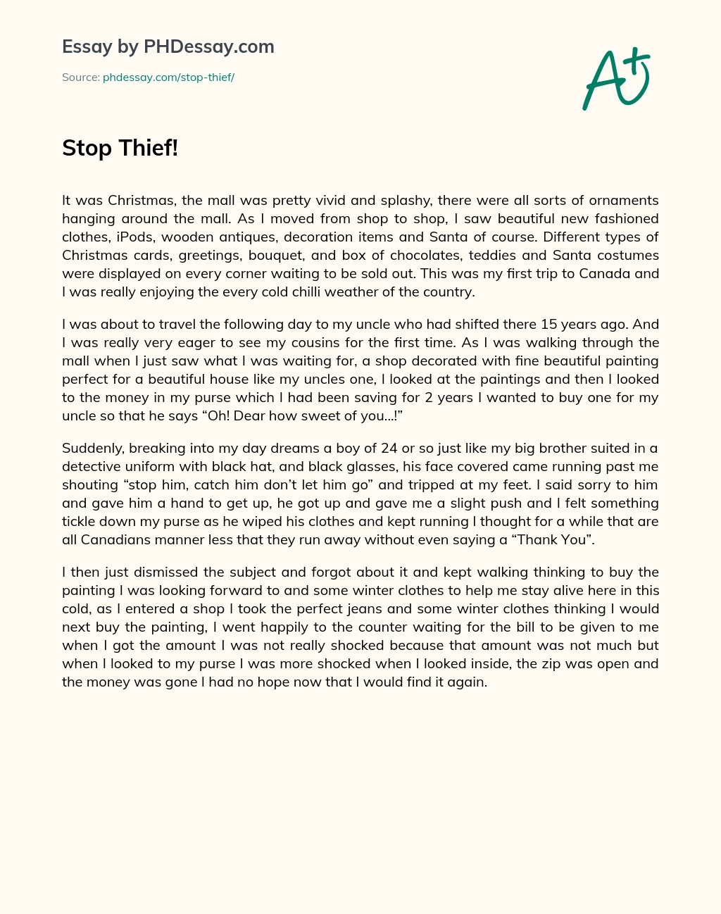 Stop Thief! essay