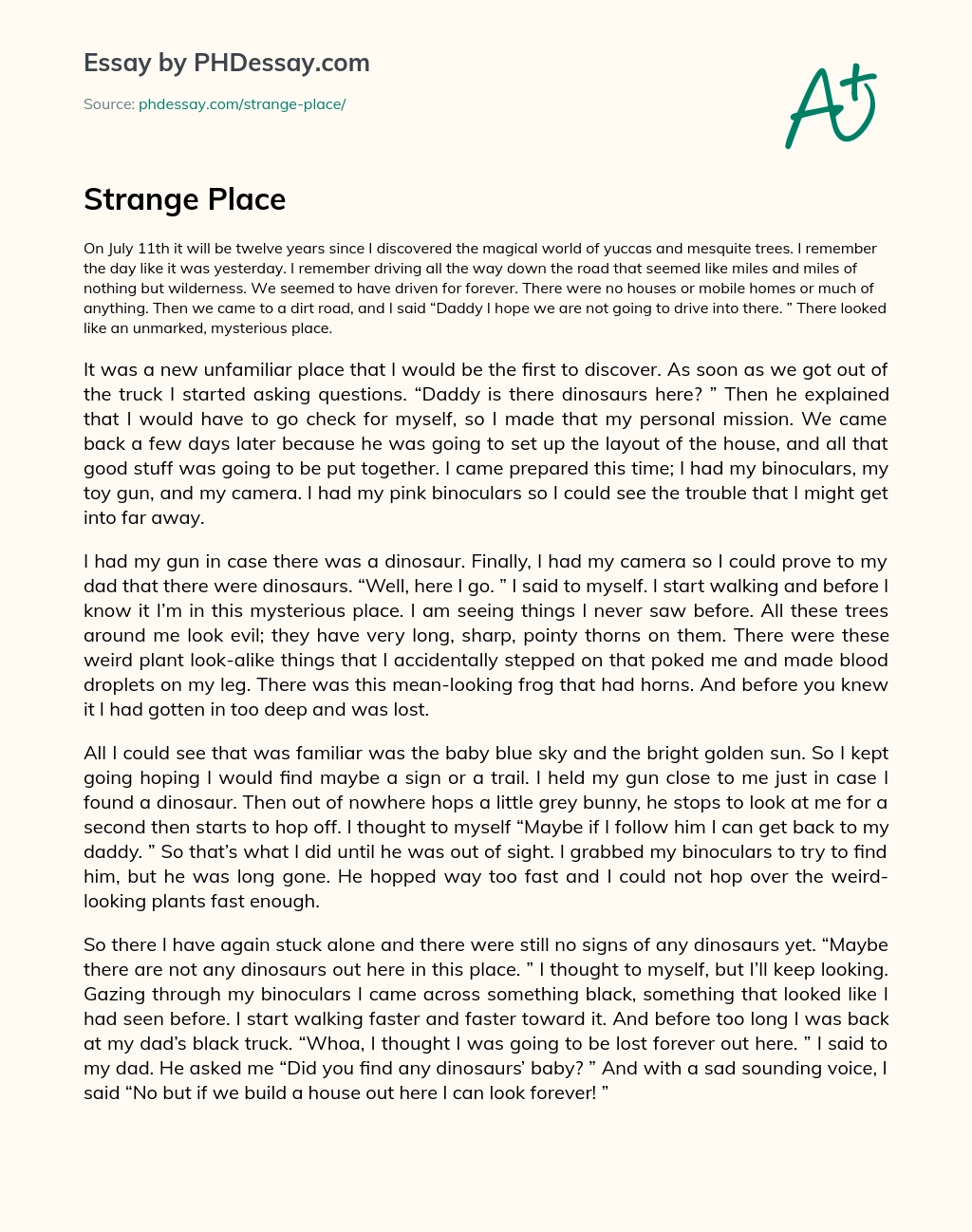 Strange Place essay