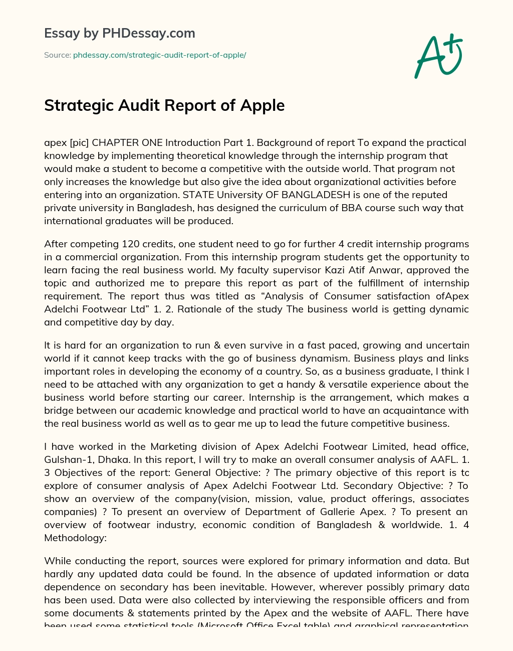 Strategic Audit Report of Apple essay