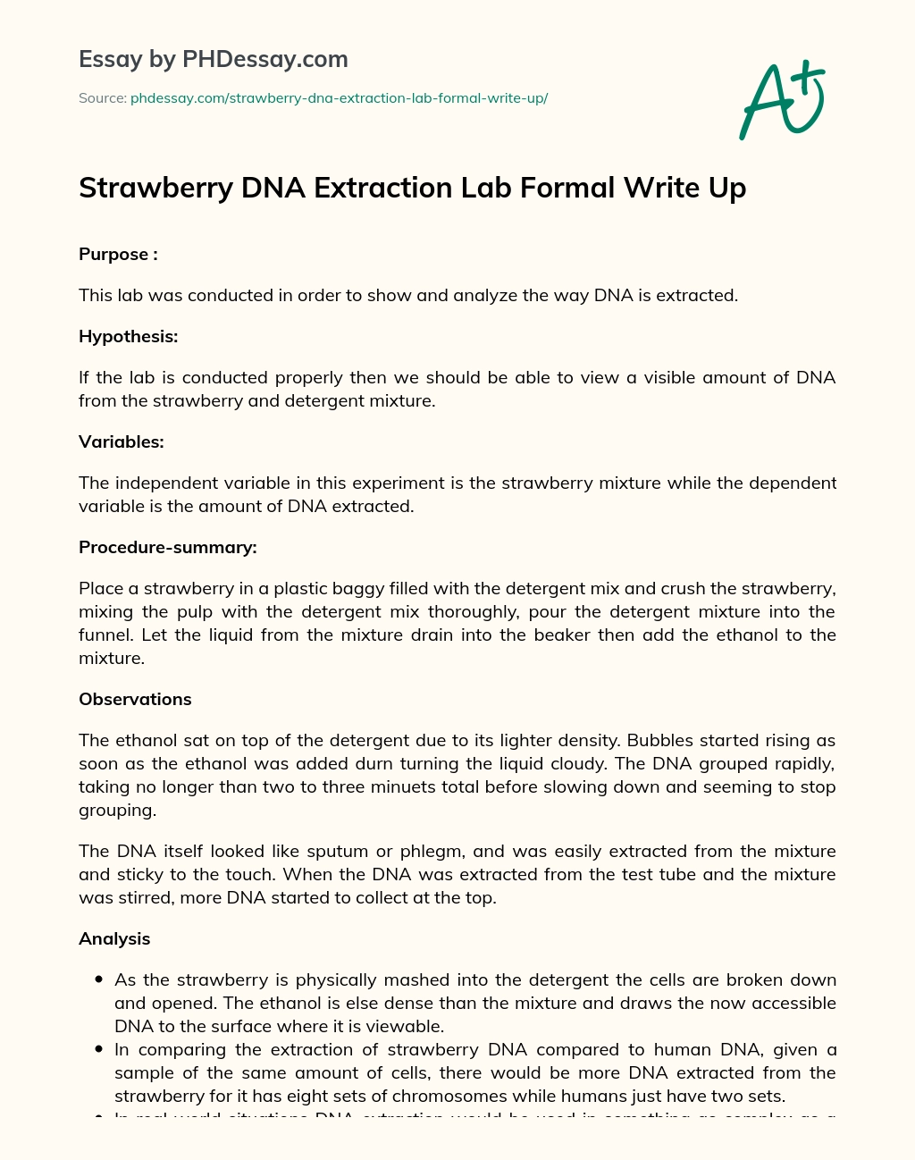 Strawberry DNA Extraction Lab Formal Write Up essay
