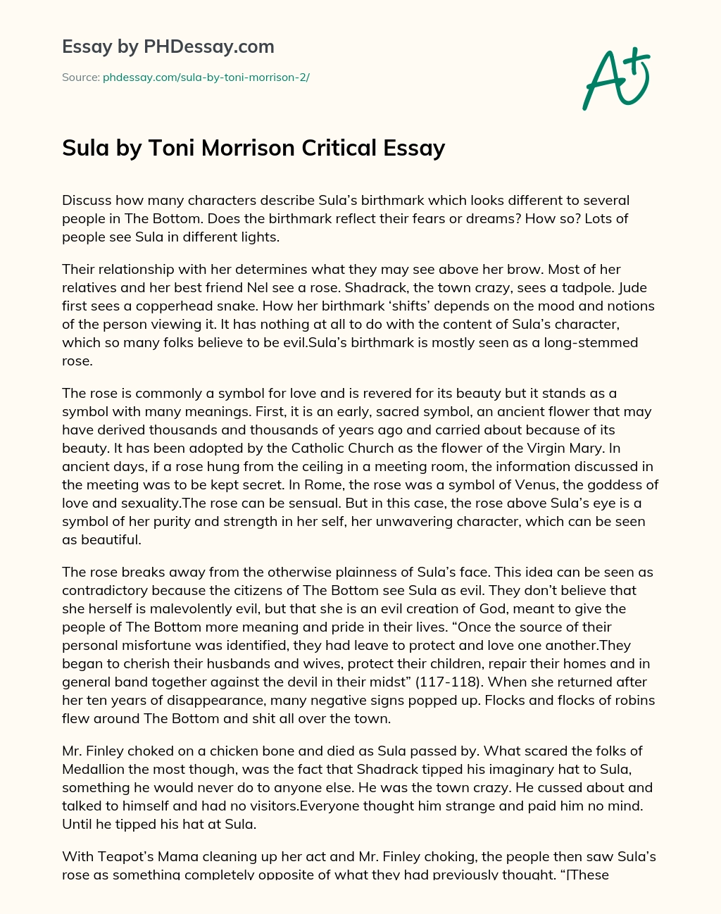 Sula by Toni Morrison Critical Essay essay