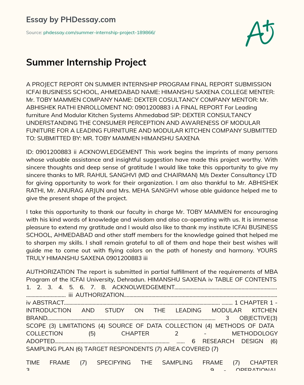 Summer Internship Project essay