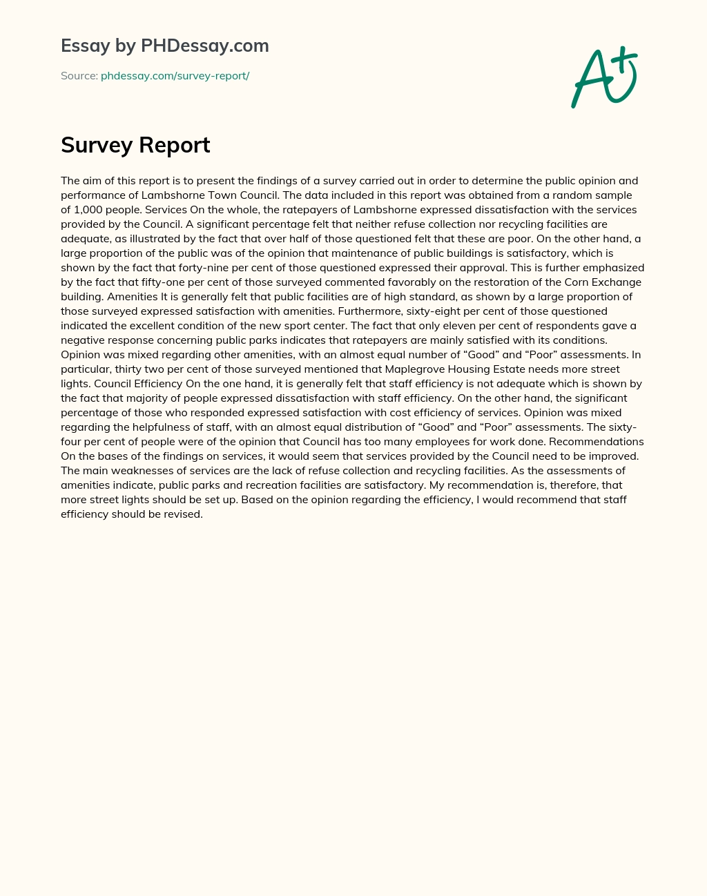 Survey Report essay