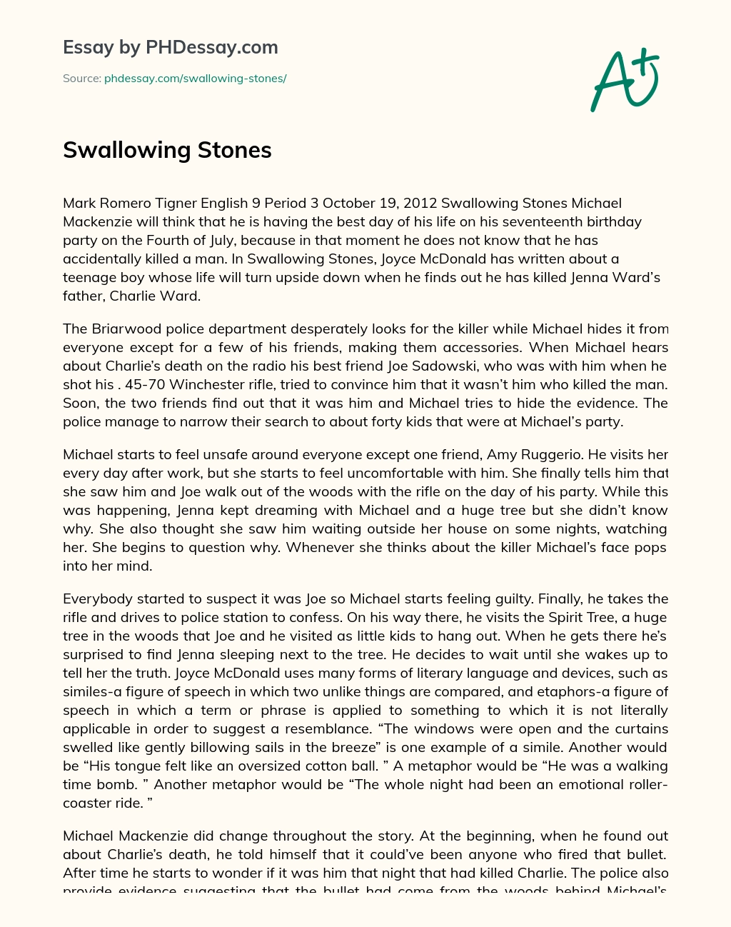 Swallowing Stones essay