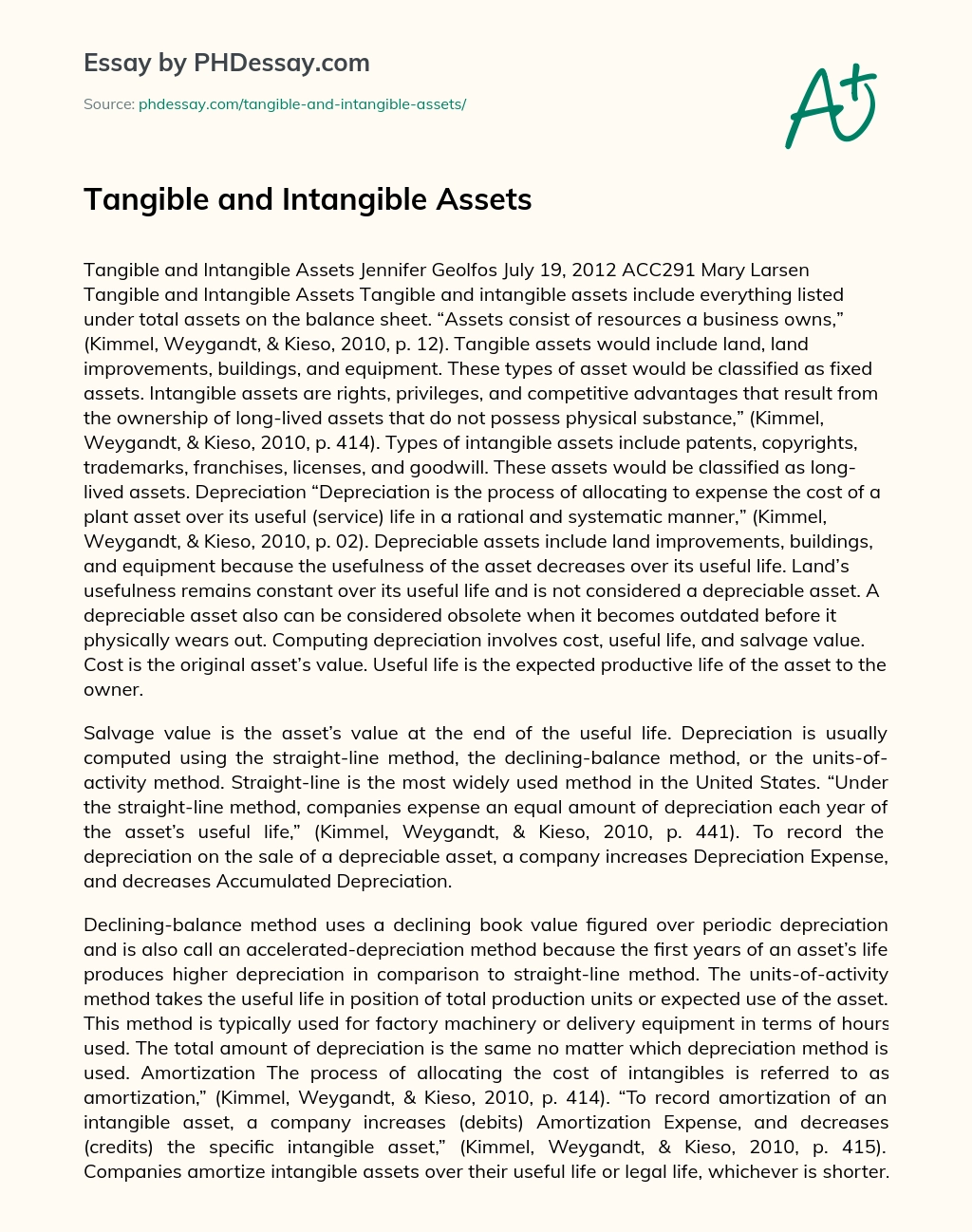 Tangible and Intangible Assets essay