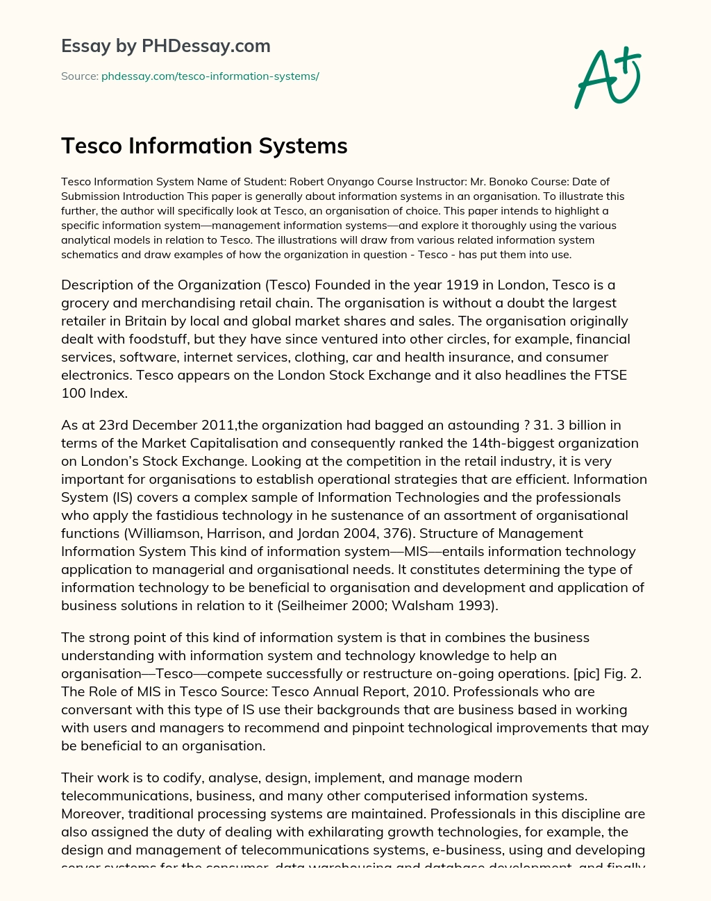 Tesco Information Systems essay