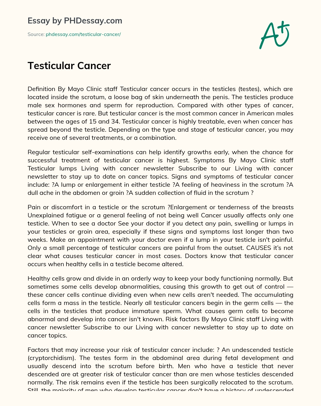 Testicular Cancer essay