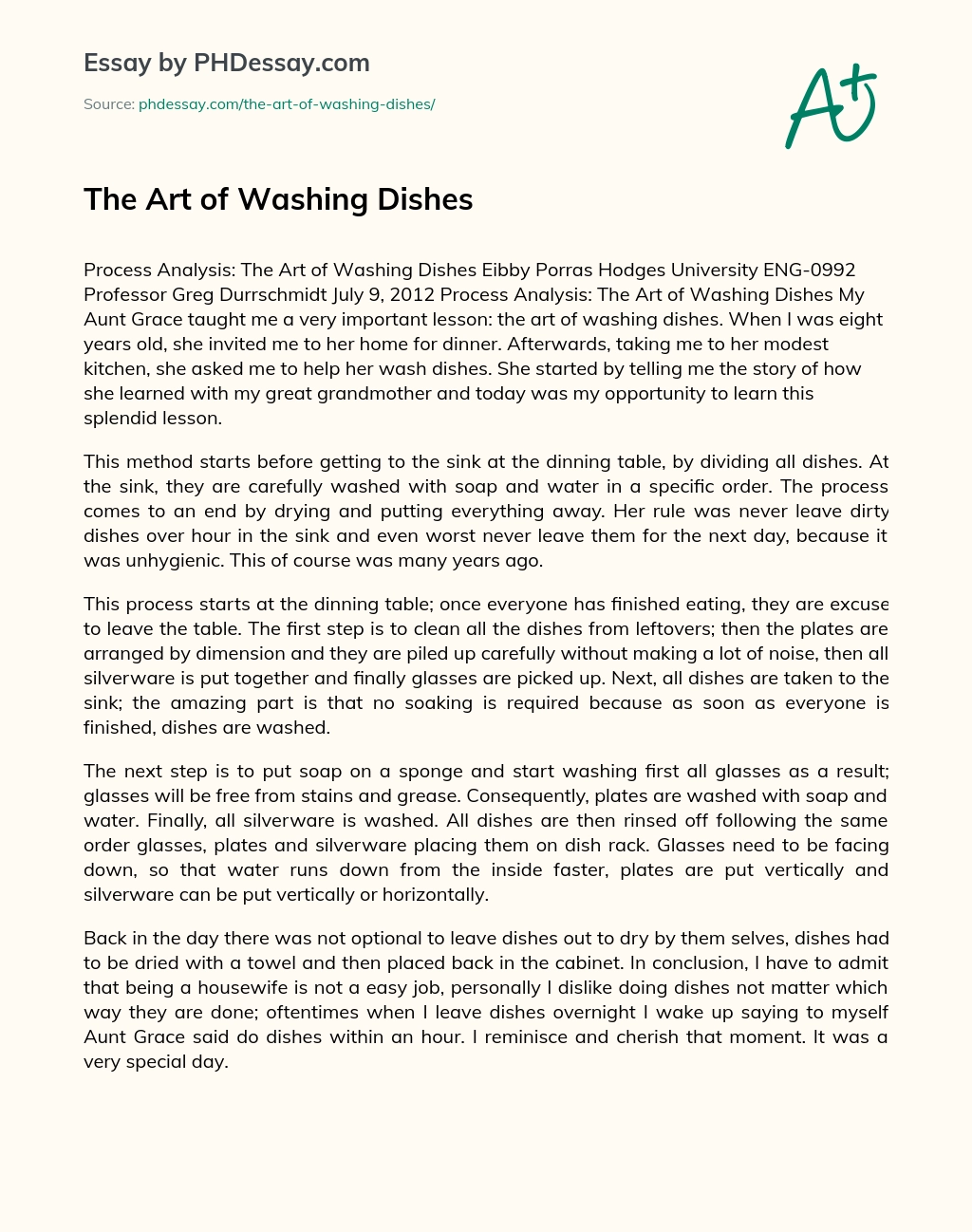 The Art of Washing Dishes essay