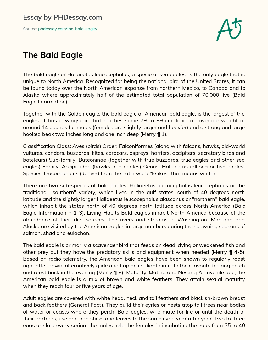 The Bald Eagle essay