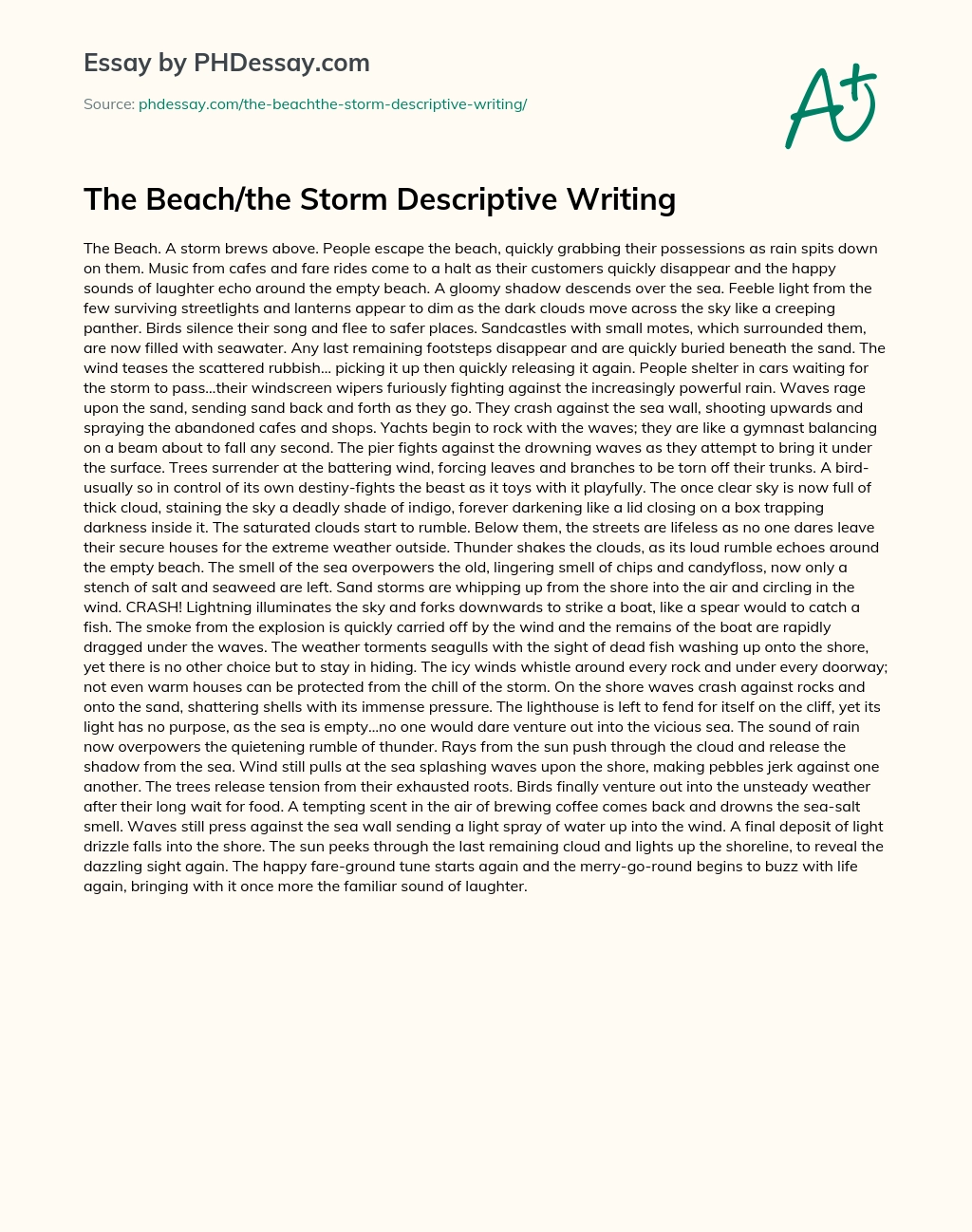 Beach and Storm Descriptive Writing essay