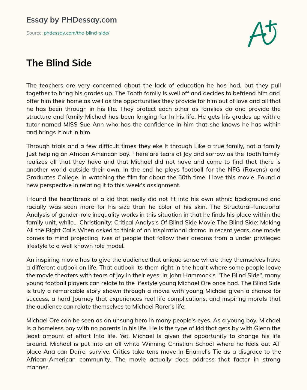 The Blind Side essay