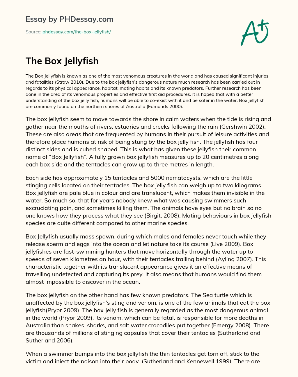 The Box Jellyfish essay