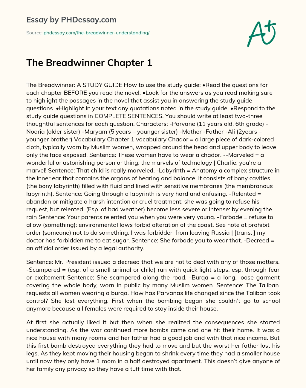 The Breadwinner Chapter 1 essay