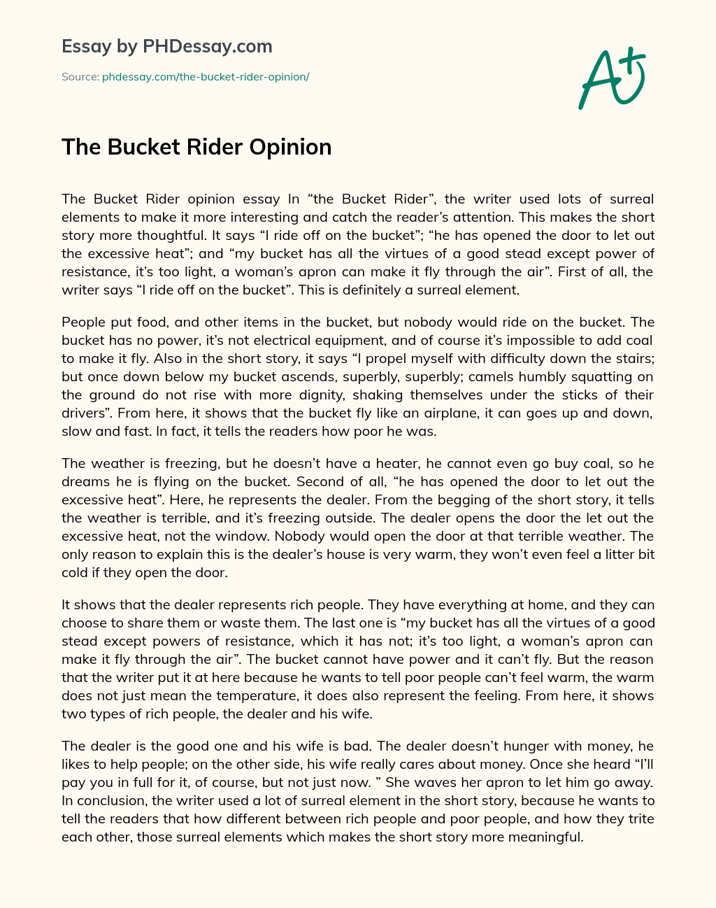 The Bucket Rider Opinion essay