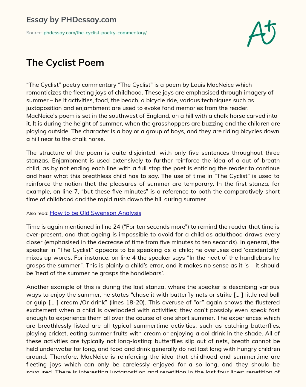 The Cyclist Poem essay