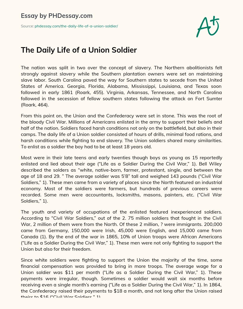 The Daily Life of a Union Soldier essay