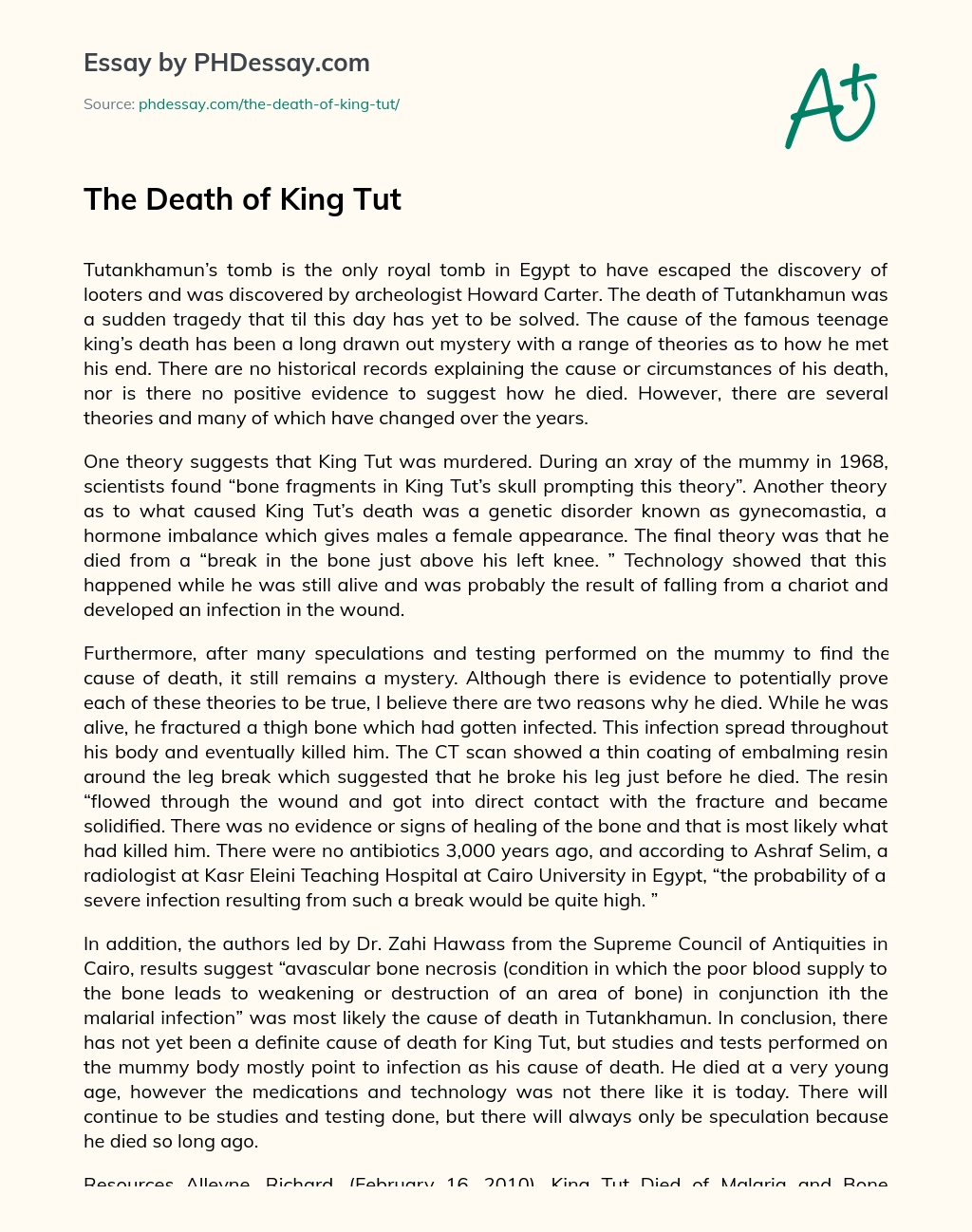 The Death of King Tut essay
