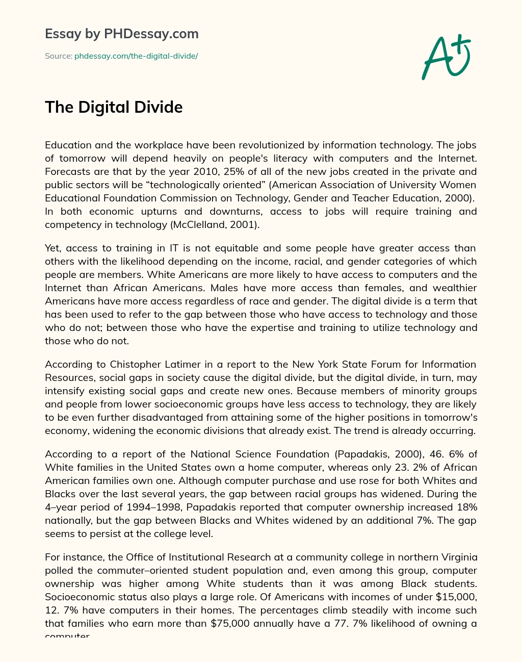 The Digital Divide essay