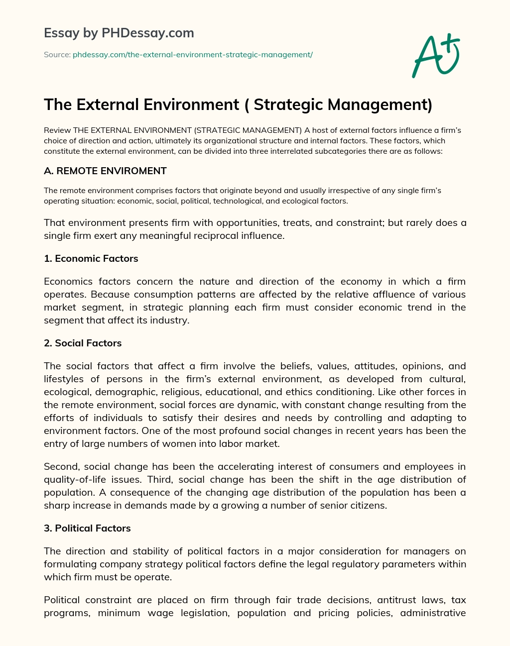 The External Environment ( Strategic Management) essay