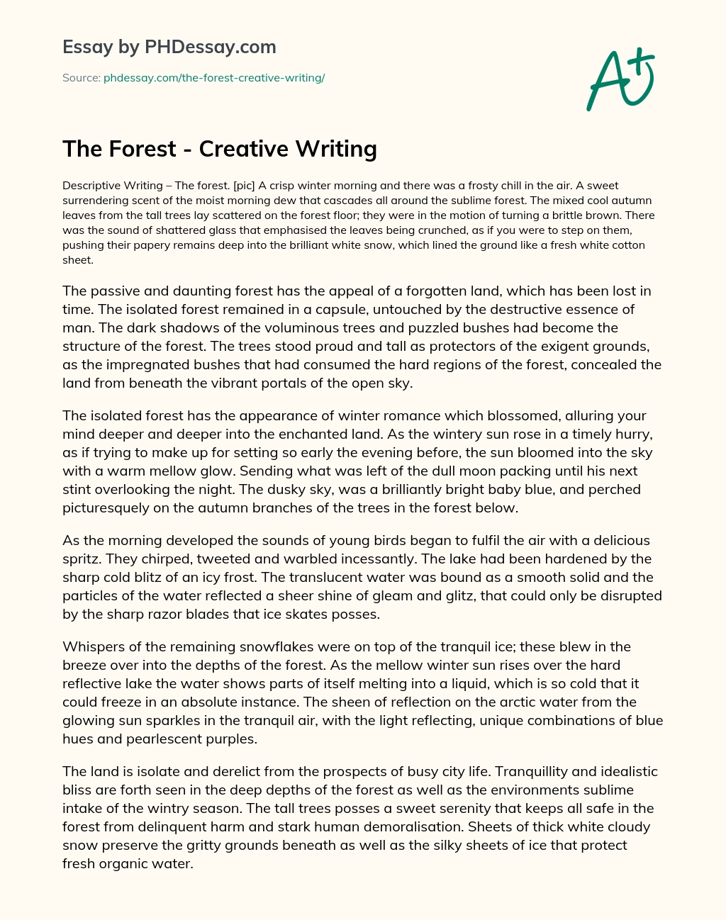 The Forest – Creative Writing essay
