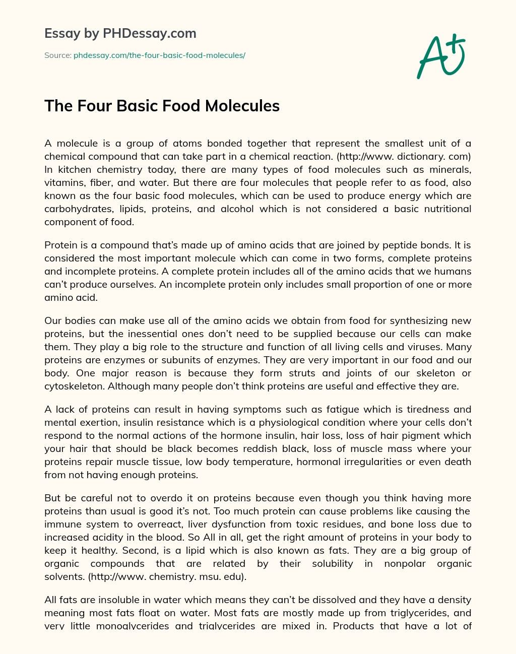The Four Basic Food Molecules essay