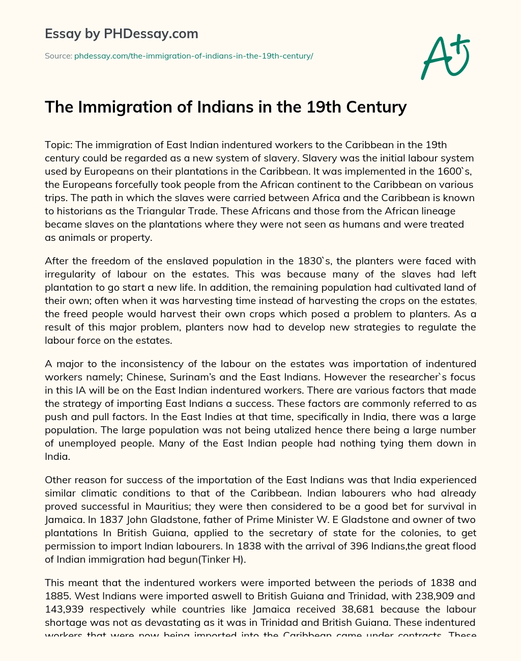 The Immigration of Indians in the 19th Century essay