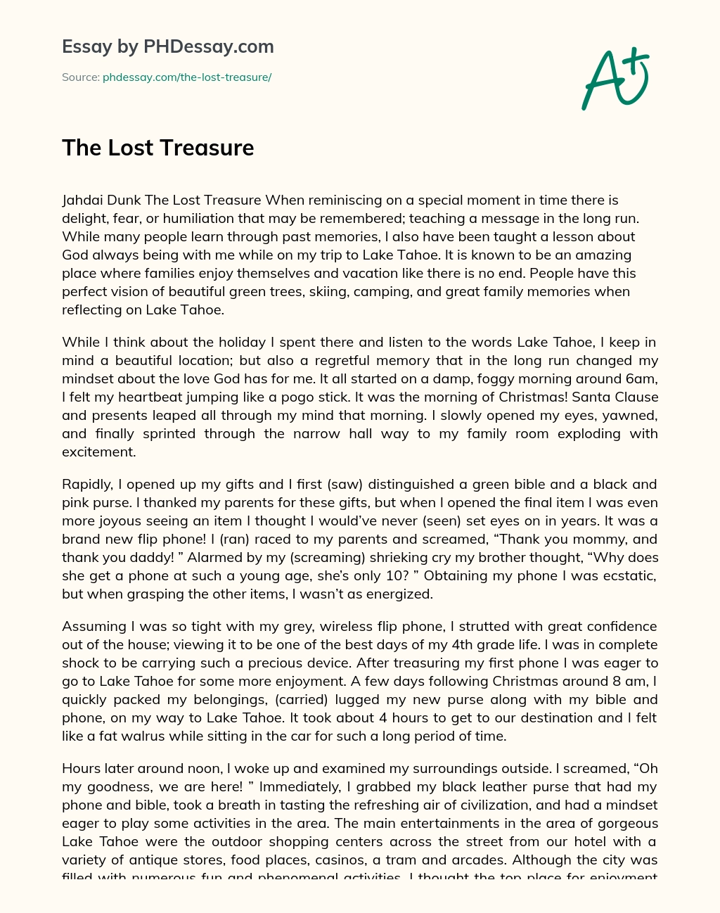 The Lost Treasure essay