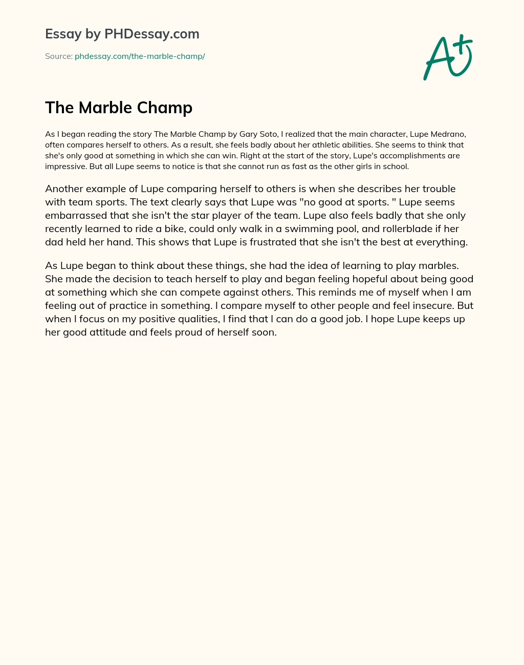 The Marble Champ essay