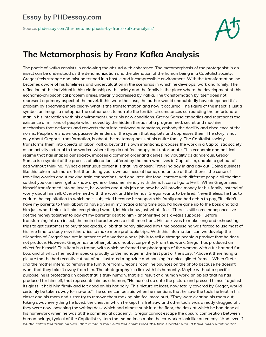 The Metamorphosis by Franz Kafka Analysis essay