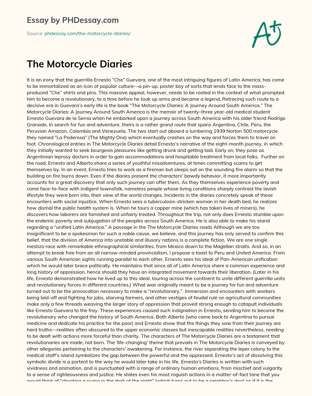 The Motorcycle Diaries essay
