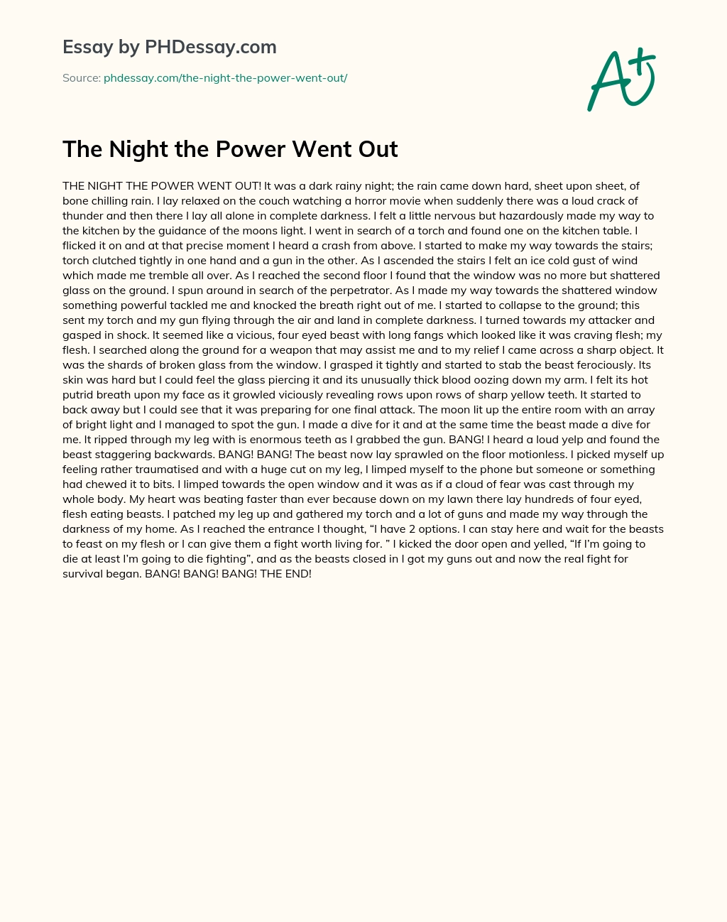 The Night the Power Went Out essay
