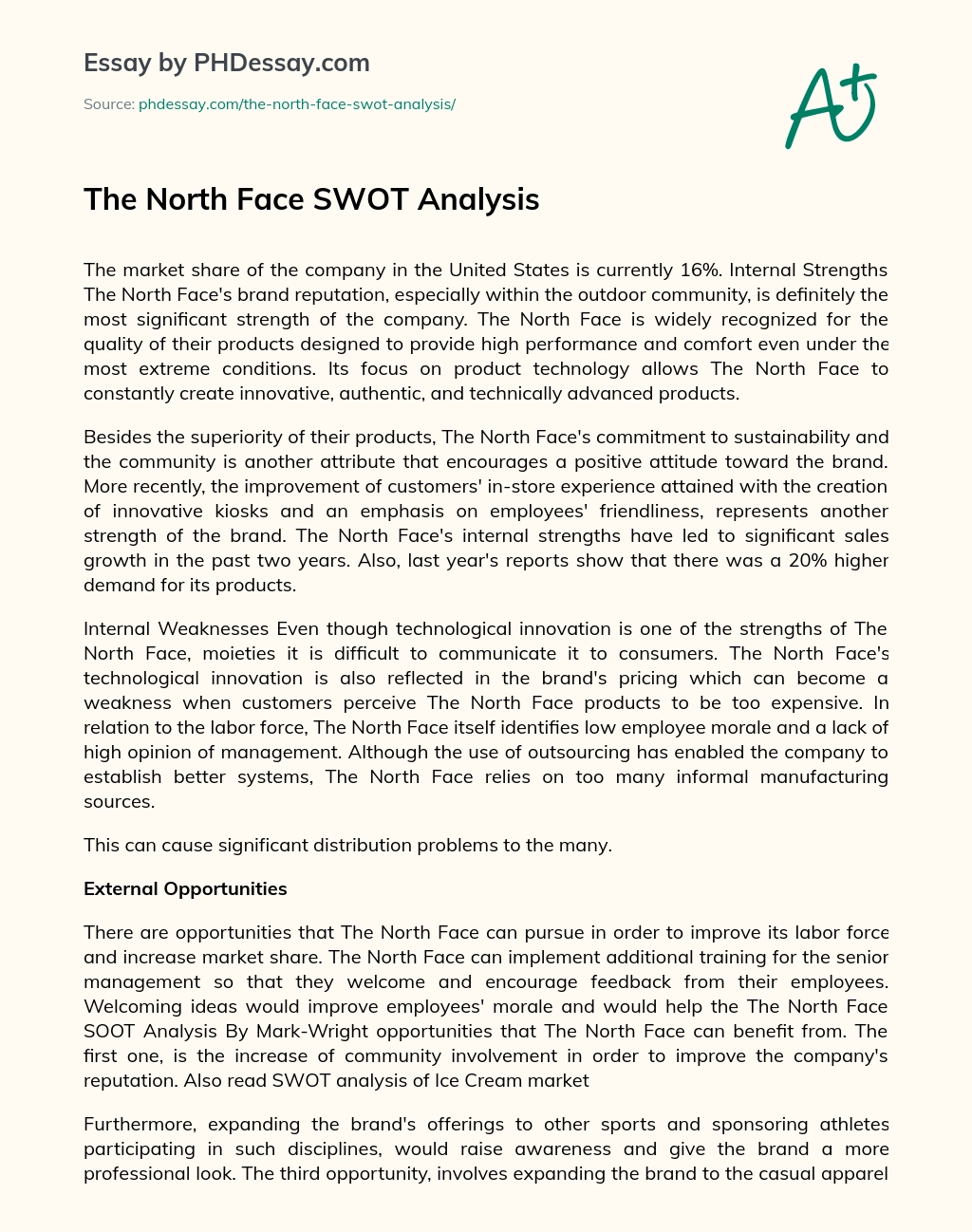The North Face SWOT Analysis essay