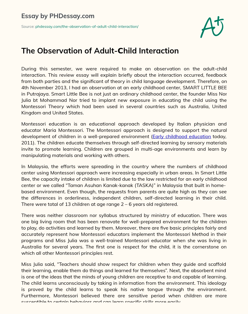 The Observation of Adult-Child Interaction essay