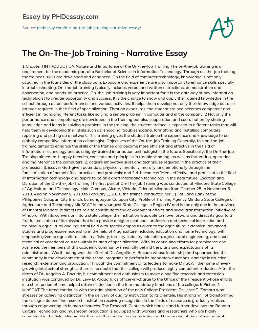 The On-The-Job Training – Narrative Essay essay