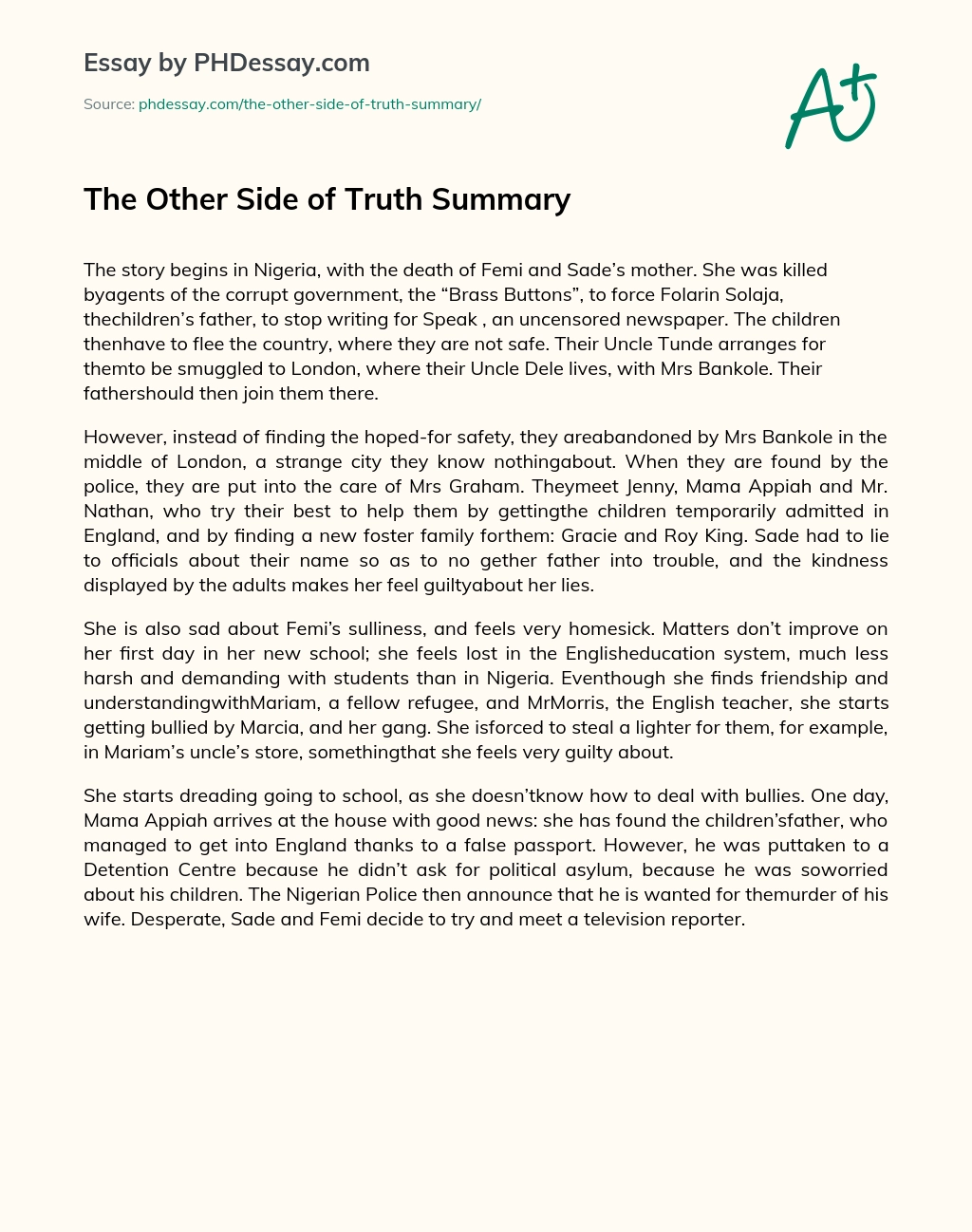 The Other Side of Truth Summary essay