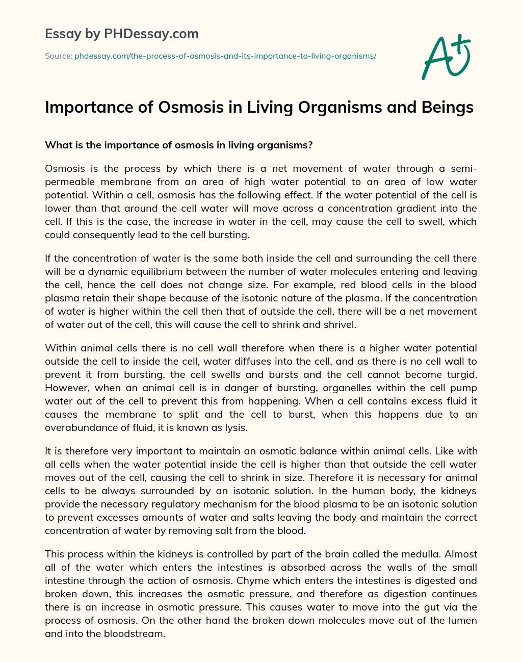 Importance Of Osmosis In Living Organisms And Beings Process Essay Example  