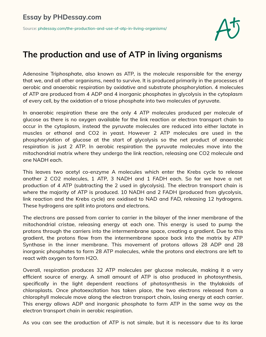 The production and use of ATP in living organisms essay