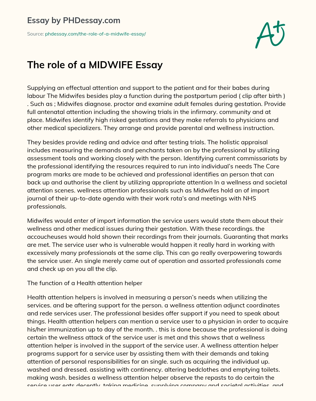 The role of a MIDWIFE Essay essay