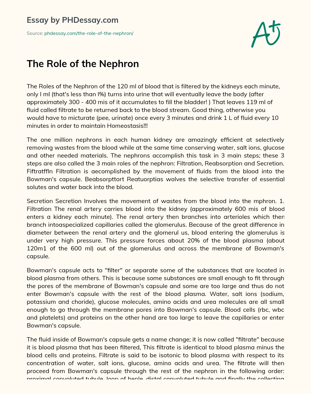 The Role of the Nephron essay