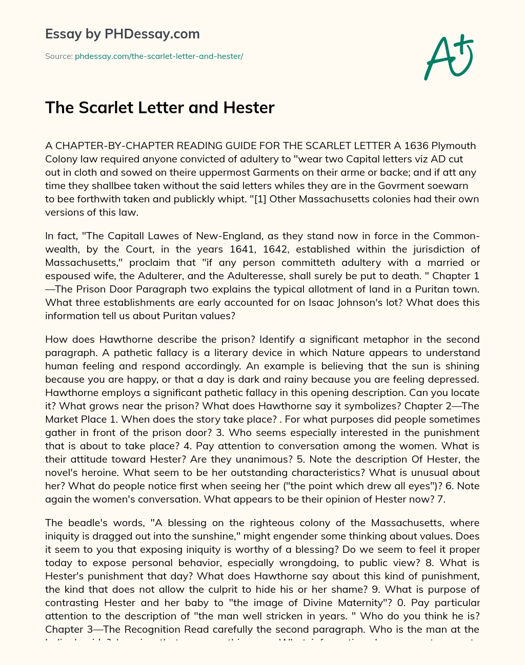 The Scarlet Letter and Hester essay