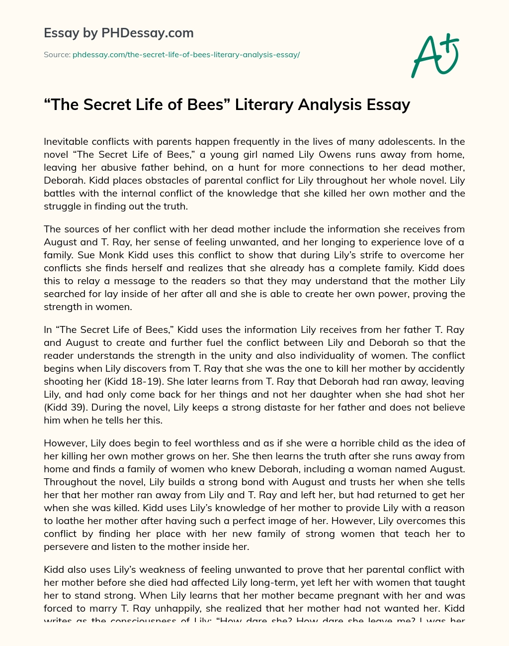 The Secret Life of Bees Literary Analysis Essay essay