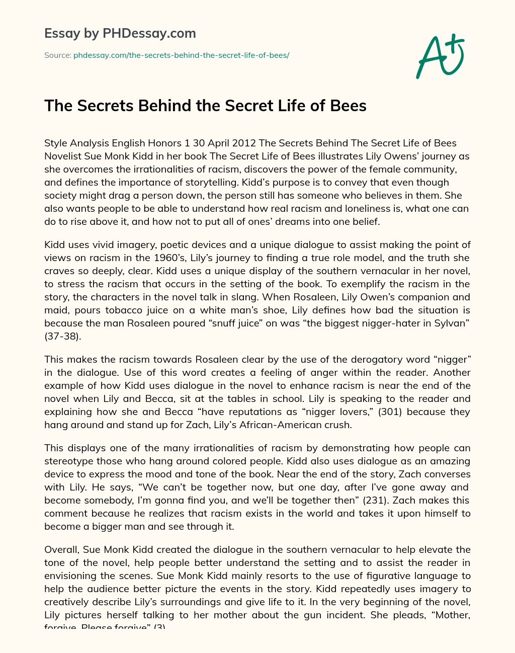 The Secrets Behind the Secret Life of Bees essay
