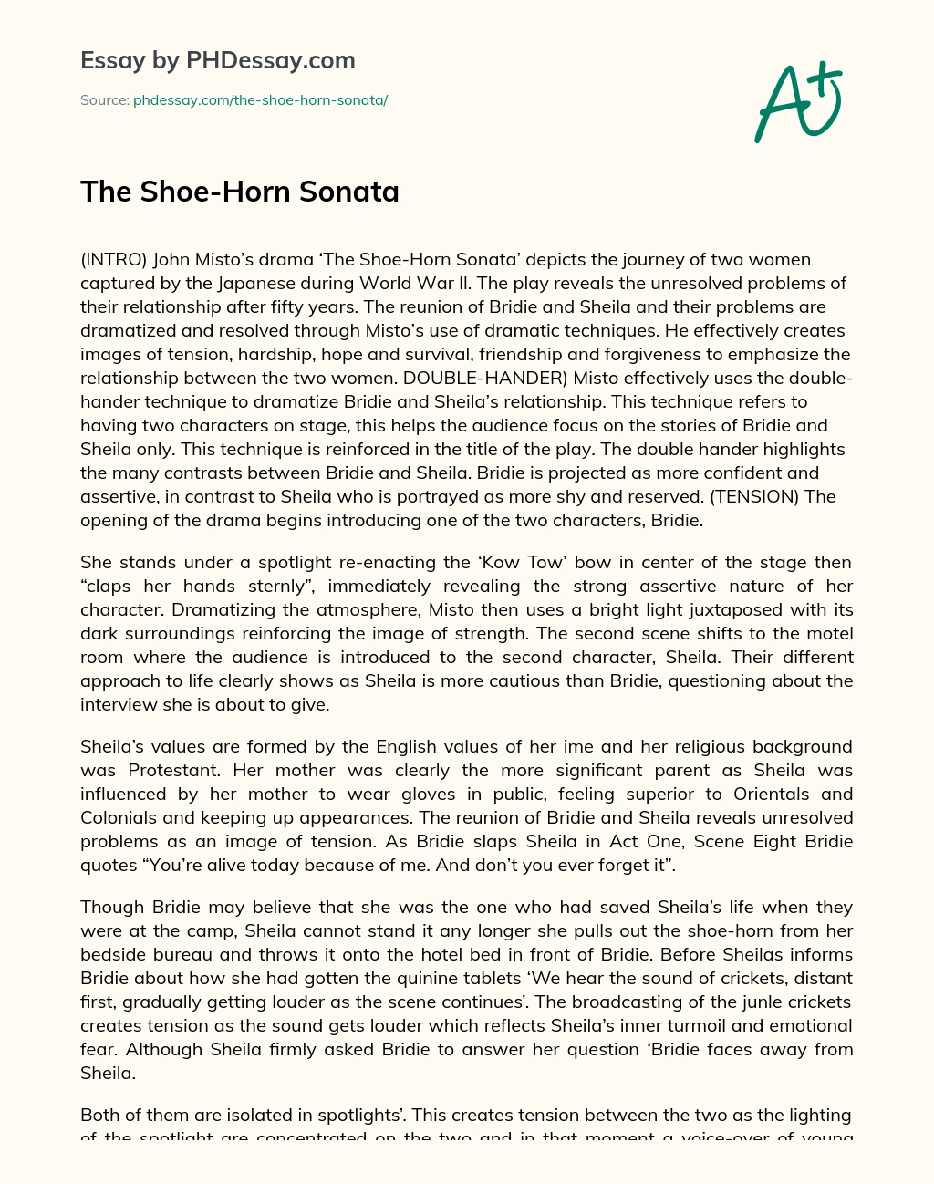 The Shoe-Horn Sonata essay