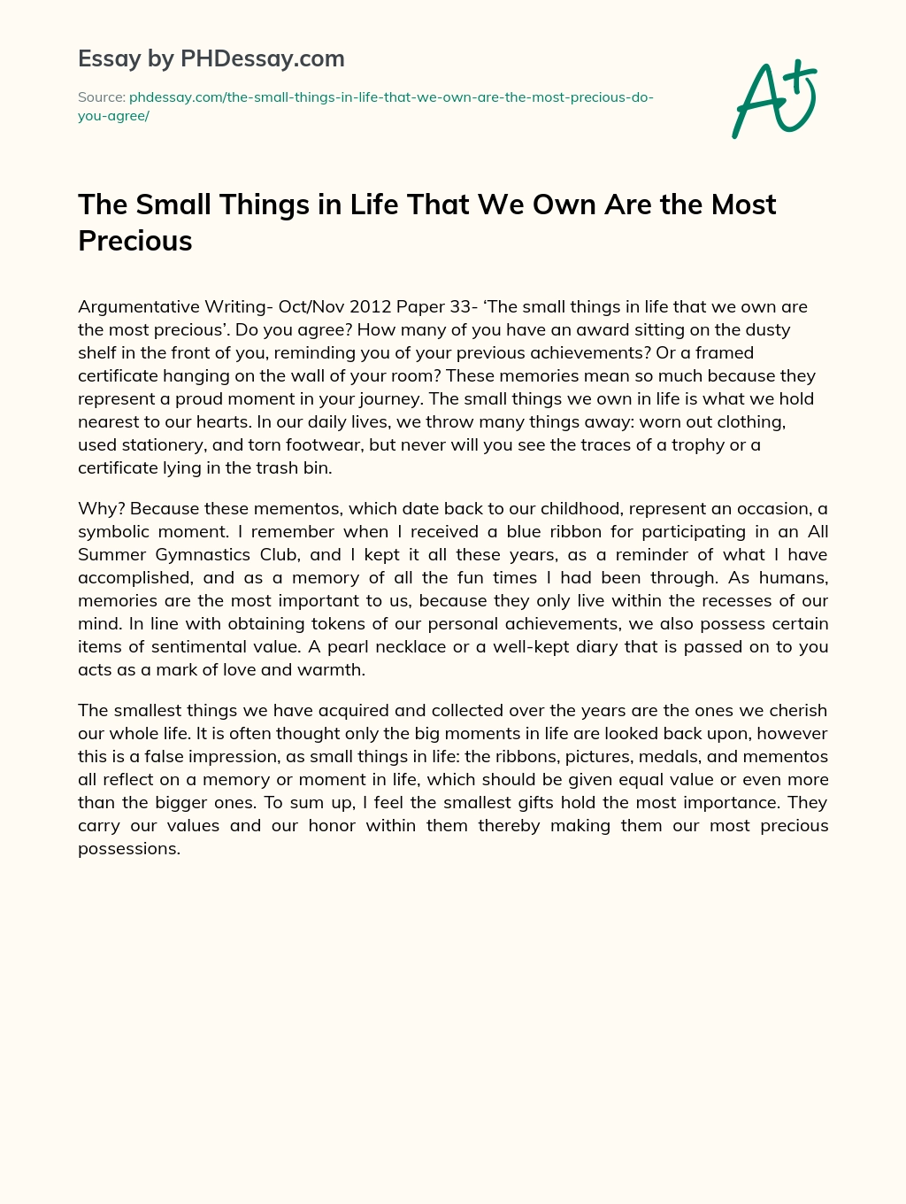 The Small Things in Life That We Own Are the Most Precious essay