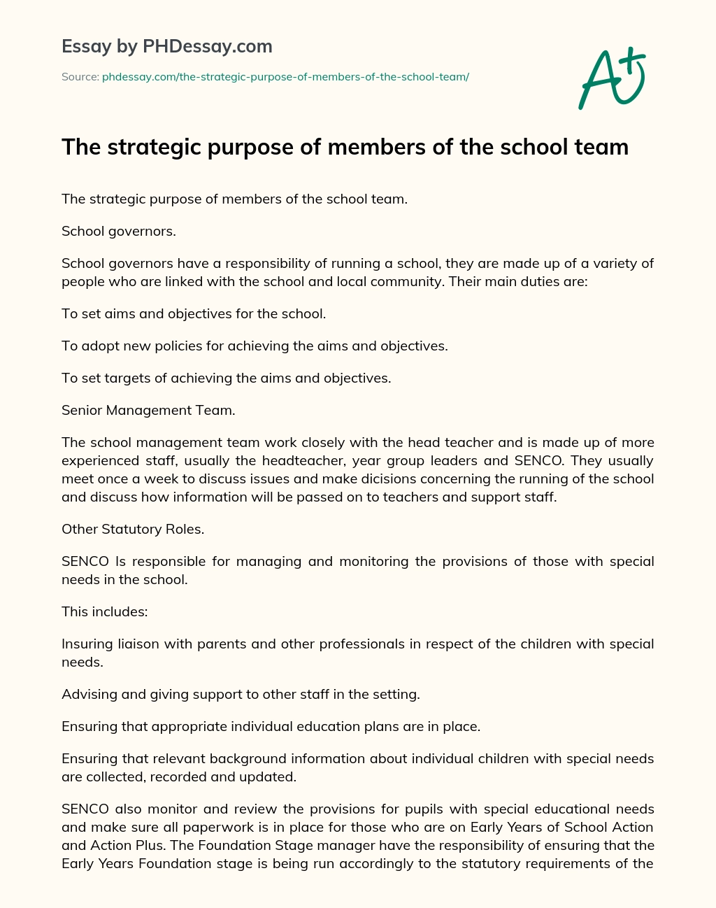 The Strategic Purpose of Members of the School Team essay