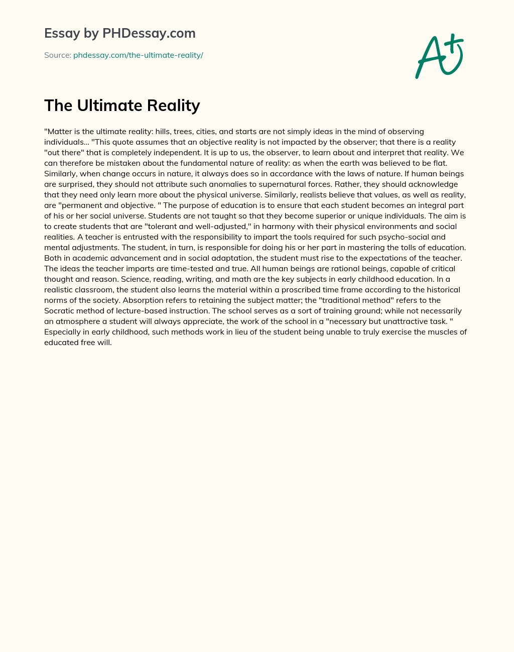 The Ultimate Reality essay