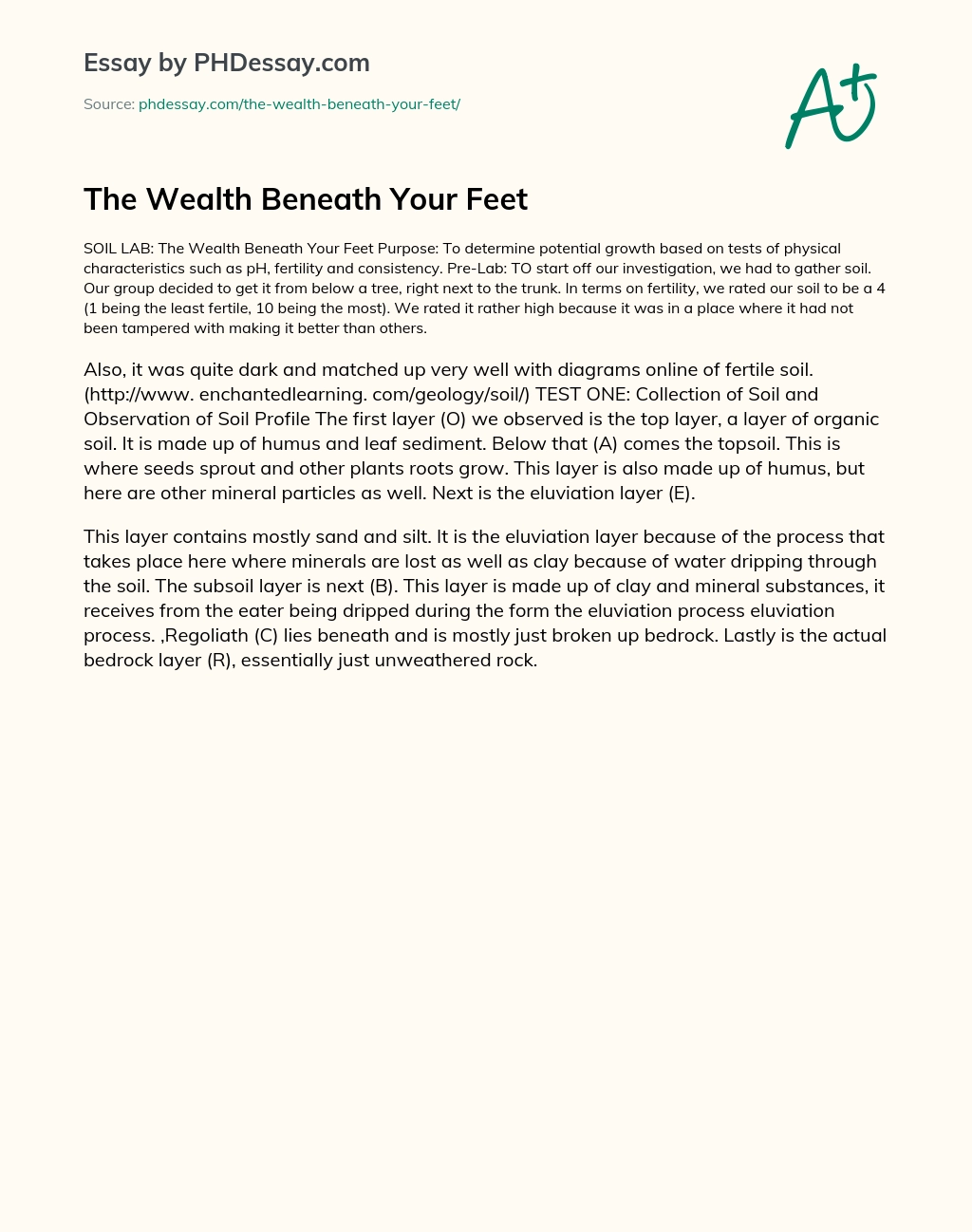 The Wealth Beneath Your Feet essay