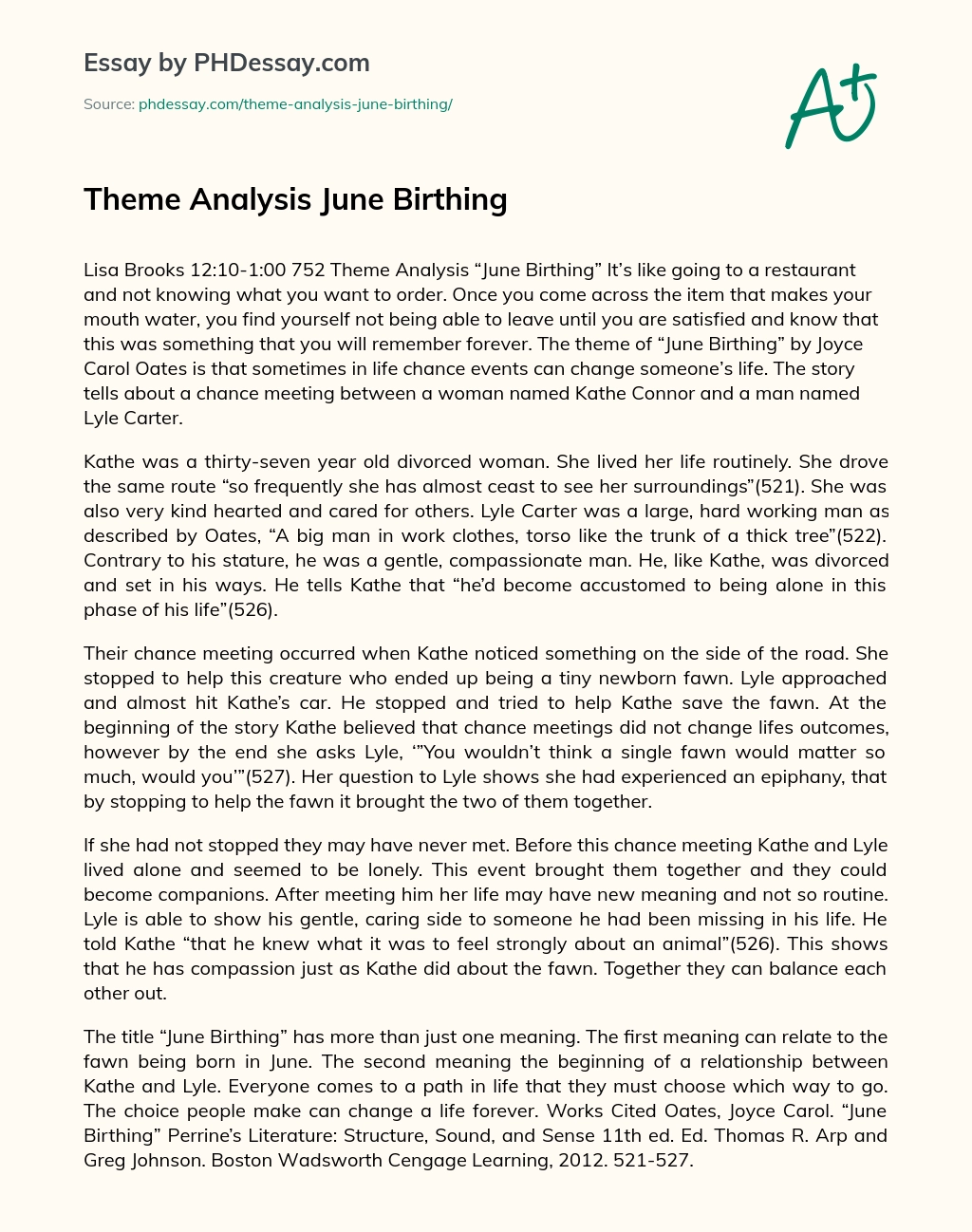 Theme Analysis June Birthing essay